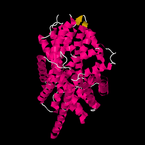 LeuT PDB ID 2A65