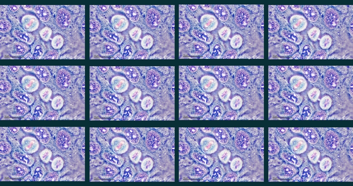 Reproducibility2020