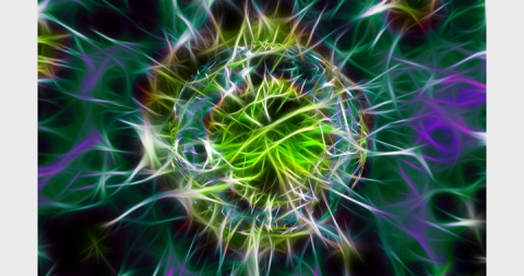 Antimicrobial resistance
