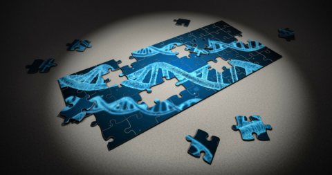 Genome