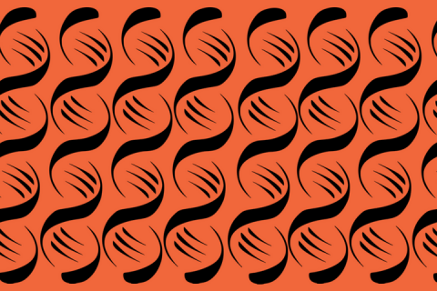 Genome Assembly