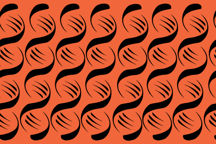 Genome Assembly