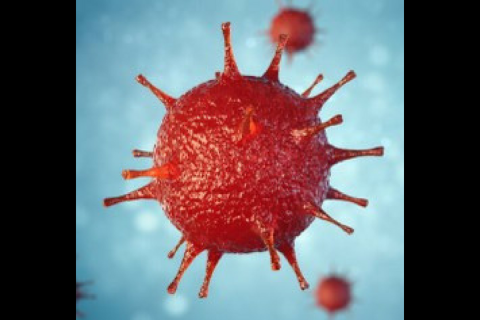 Disease outbreaks