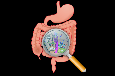 Microbiome